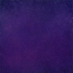 Vital Purple by Sharon Mealey