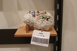 Brain Store by Chien Tai